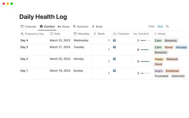 Pregnancy Journal Log